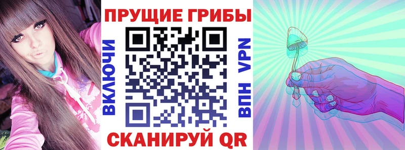 Галлюциногенные грибы Cubensis  хочу   МЕГА как войти  Азнакаево 