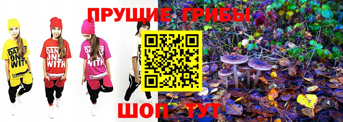 Псилоцибиновые грибы Psilocybine cubensis Азнакаево