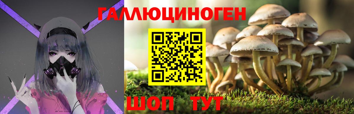Галлюциногенные грибы ЛСД  магазин продажи   Азнакаево  Вход с VPN 